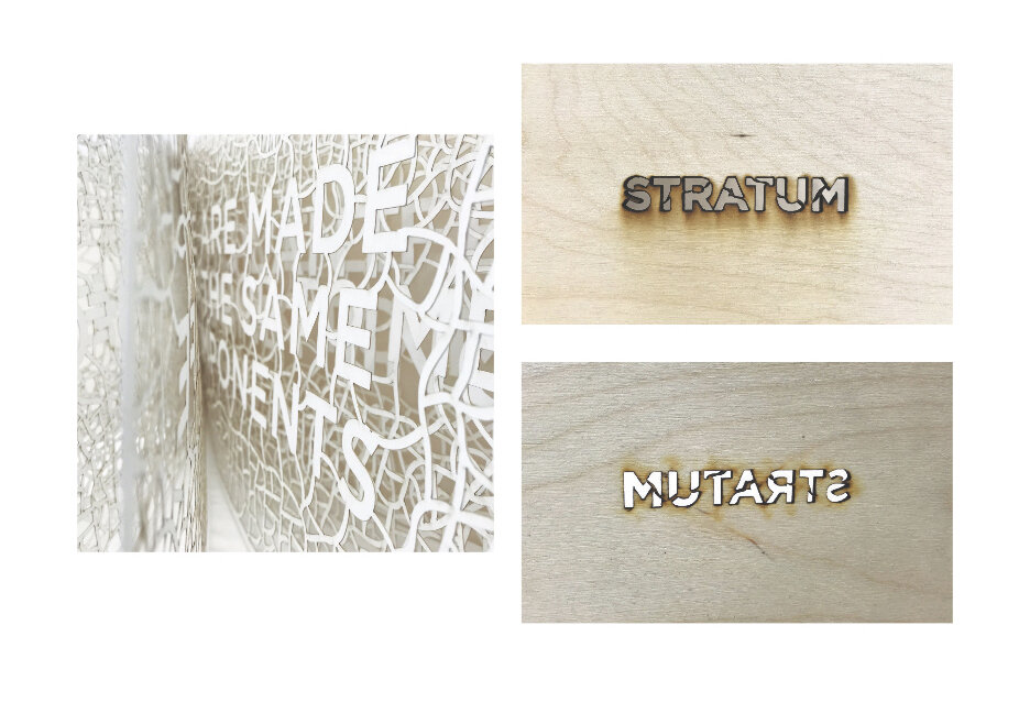 Stratum 6.jpg