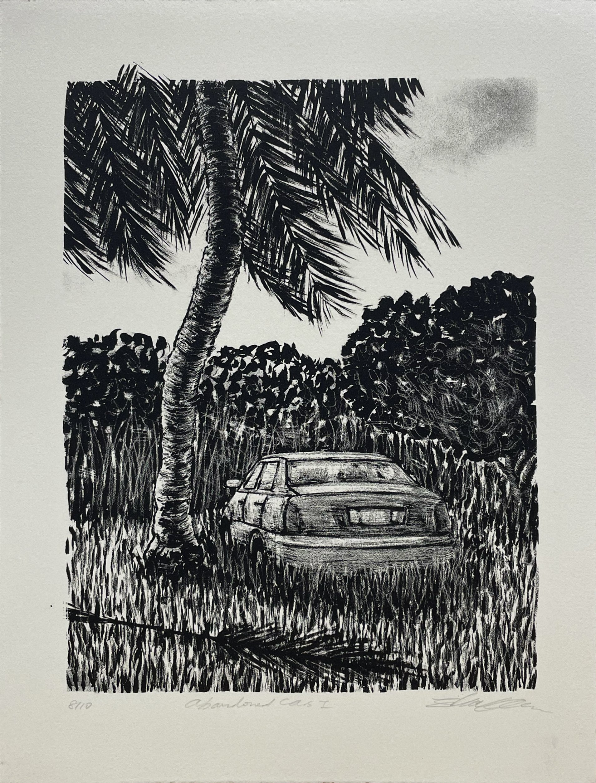 Abandoned Cars I_Aug 2019.jpg