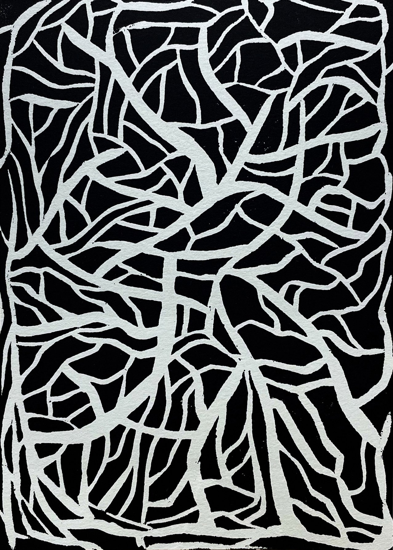 Fixed Roots_March2023.jpg